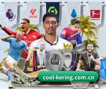 cool-kering.com.cn APP | kaiyun app